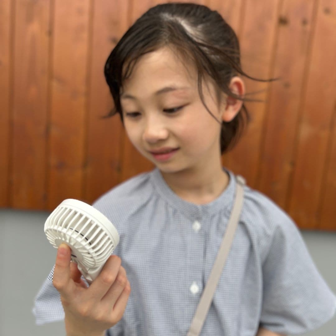 ハンディファン