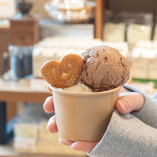 【富山大広田】春の特別企画