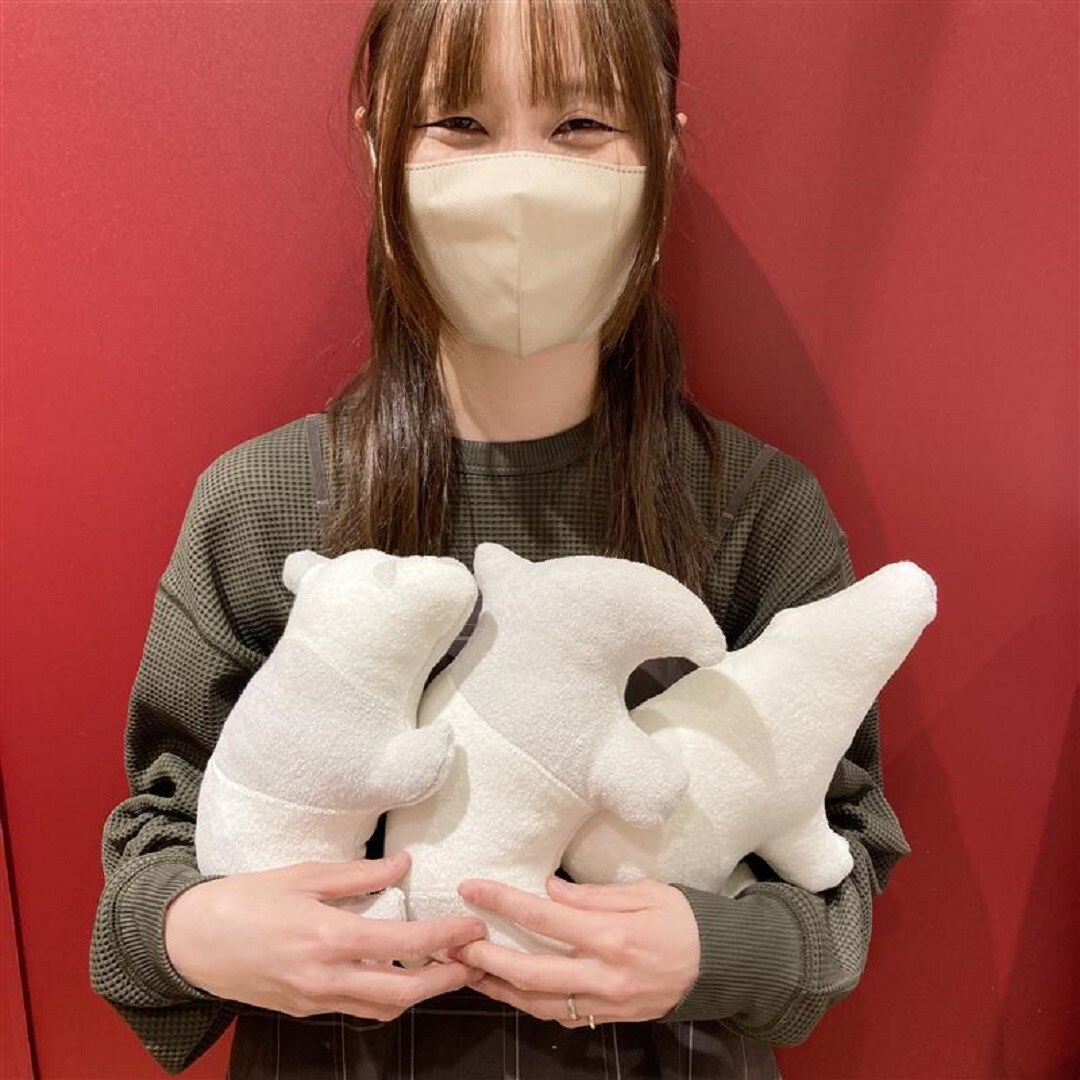クッション