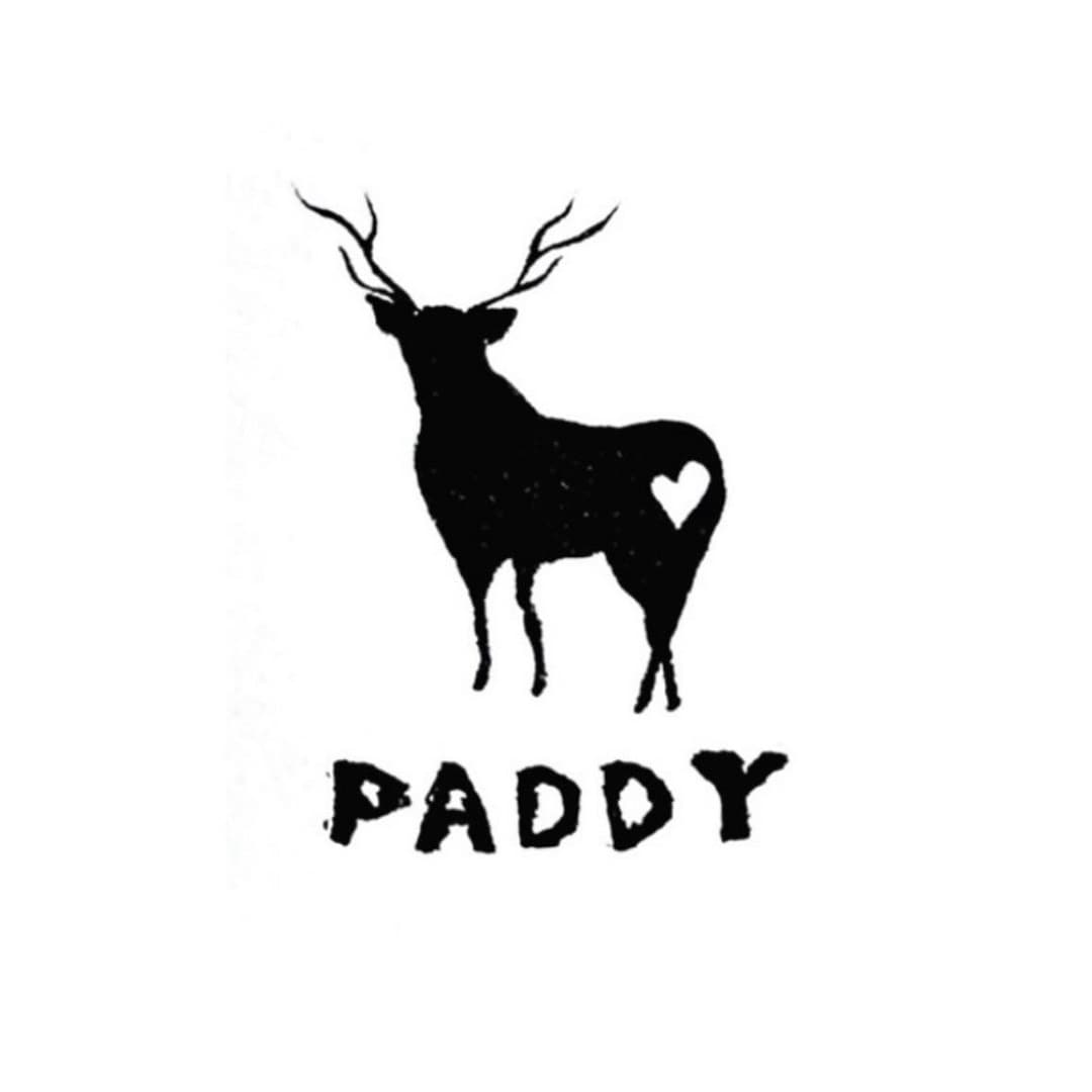paddyタイトル