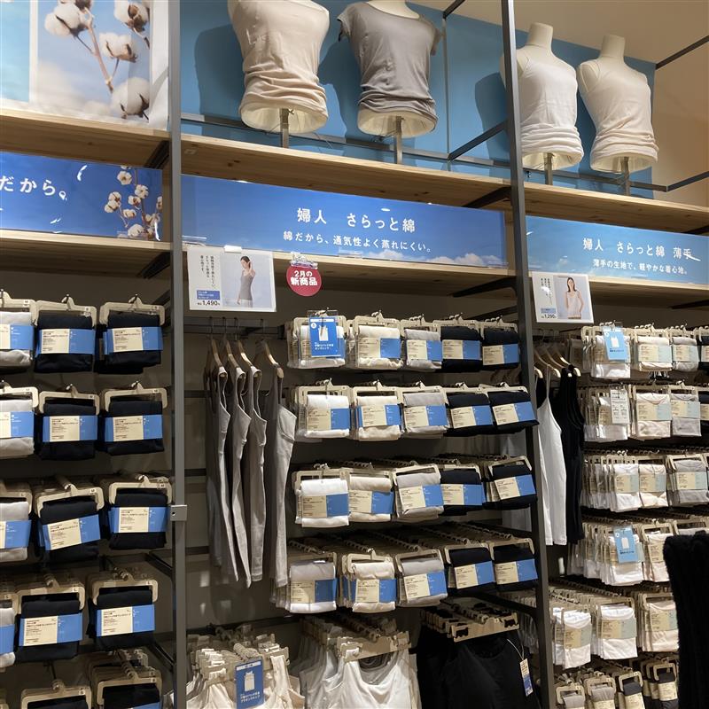 【堅田】さらっと綿ご紹介