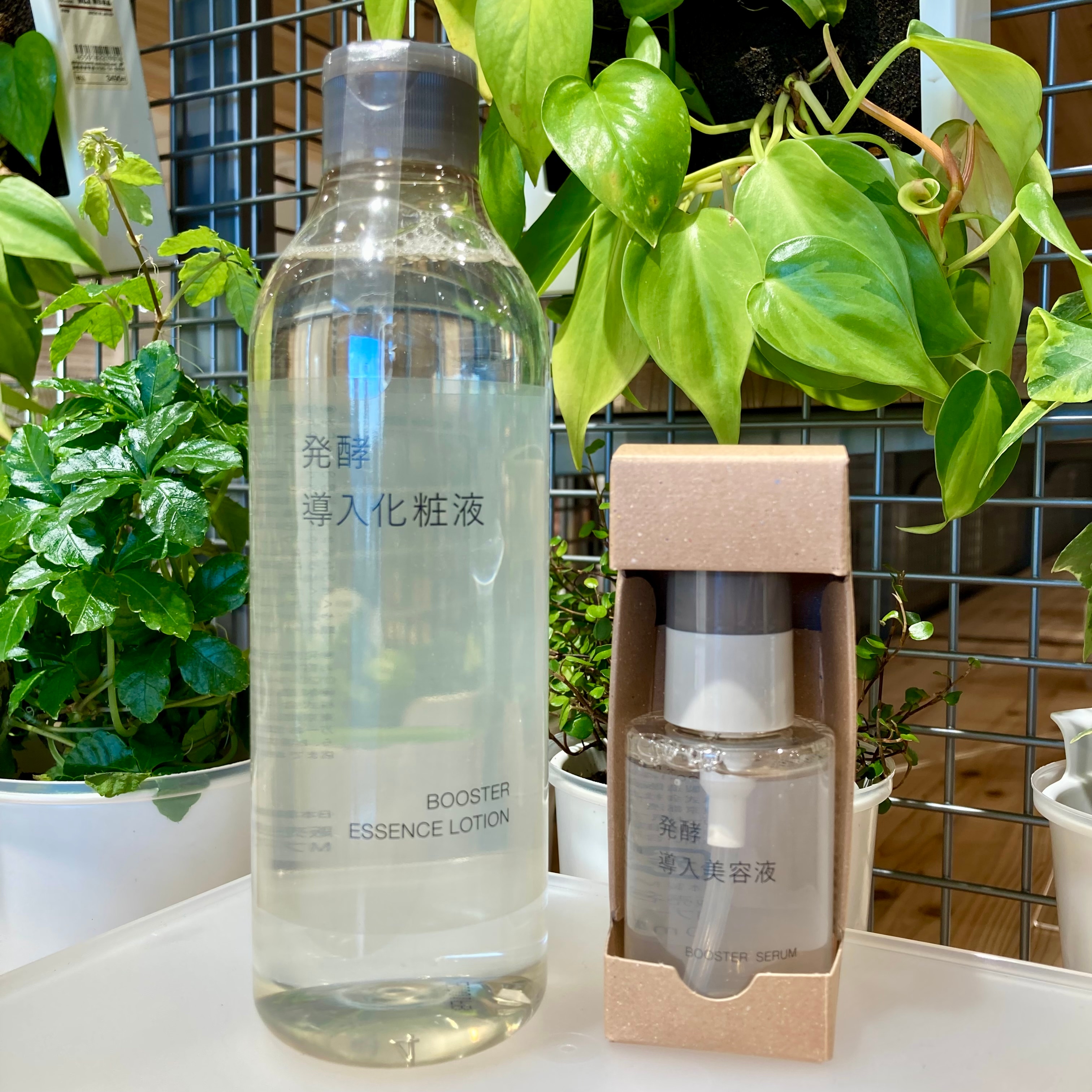 無印良品 発酵導入美容液 5本セット 堅田】発酵導入美容液・化粧液