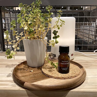 【みらい長崎ココウォーク】 暮らしに寄り添う、自然でやさしい香りを毎日に。