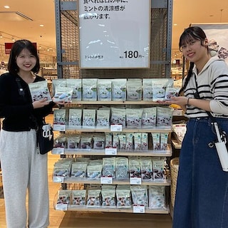 【ゆめタウン長府】チョコミントシリーズのお菓子のご紹介