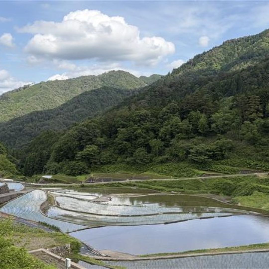 ミナモア広島