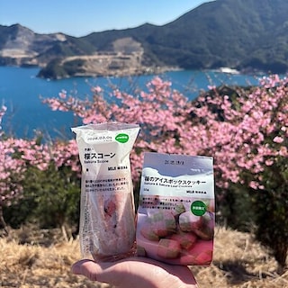 【佐伯】桜のお菓子