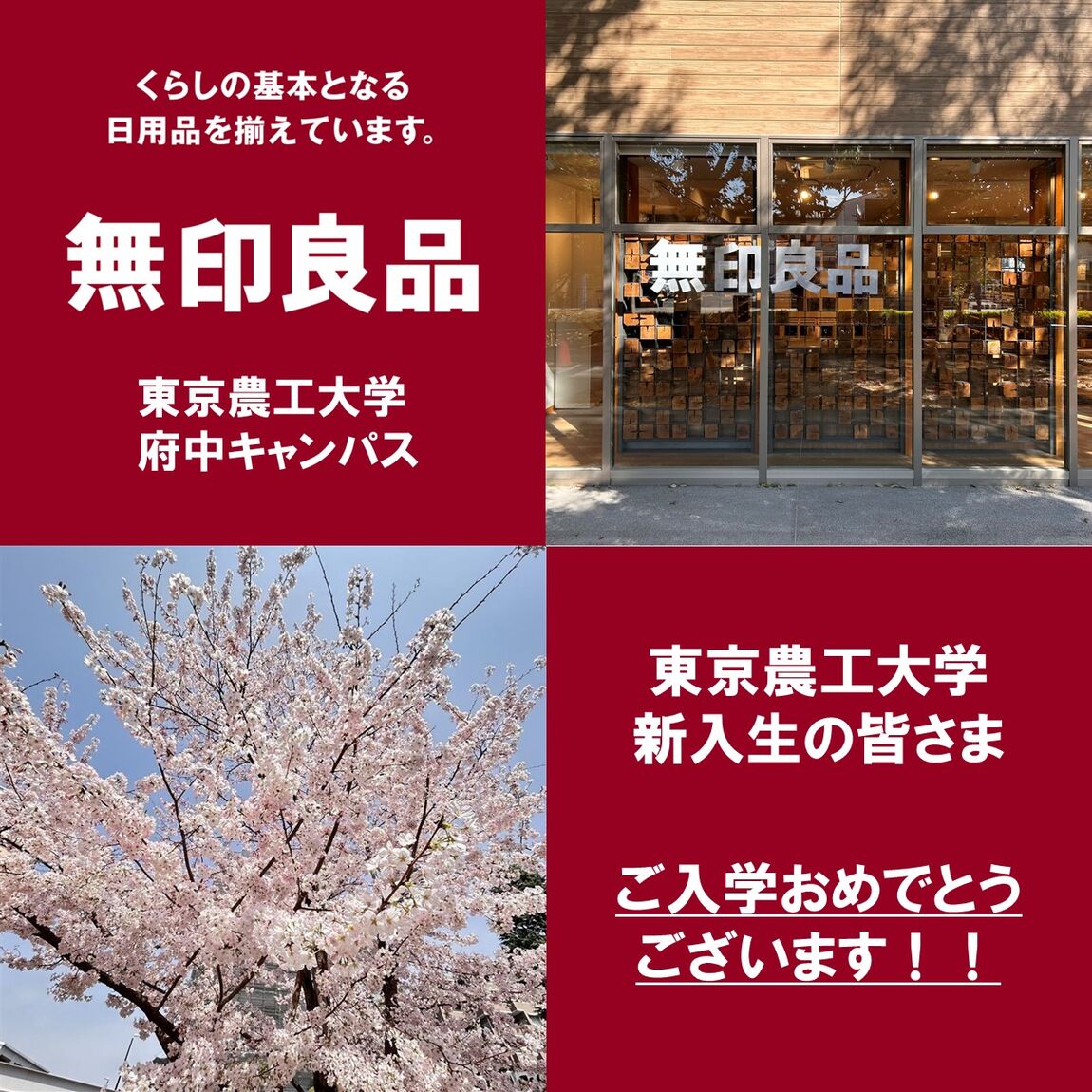 ご入学おめでとうございます！