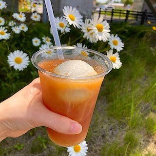 【コープさっぽろのっぽろ】コーヒー＆アイスからおすすめカスタマイズのご紹介