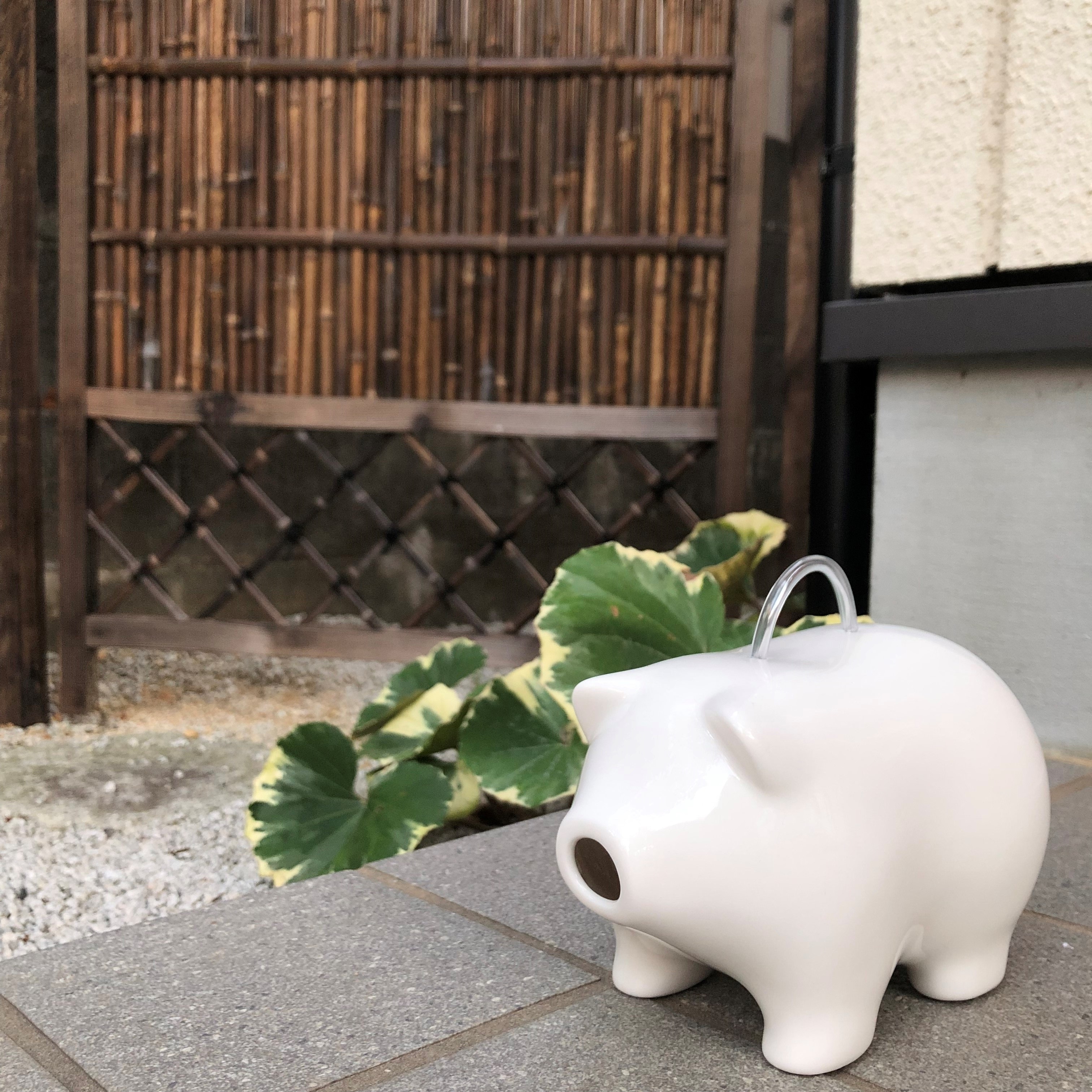 キービジュアル画像：蚊取り豚セット｜スタッフのおすすめ