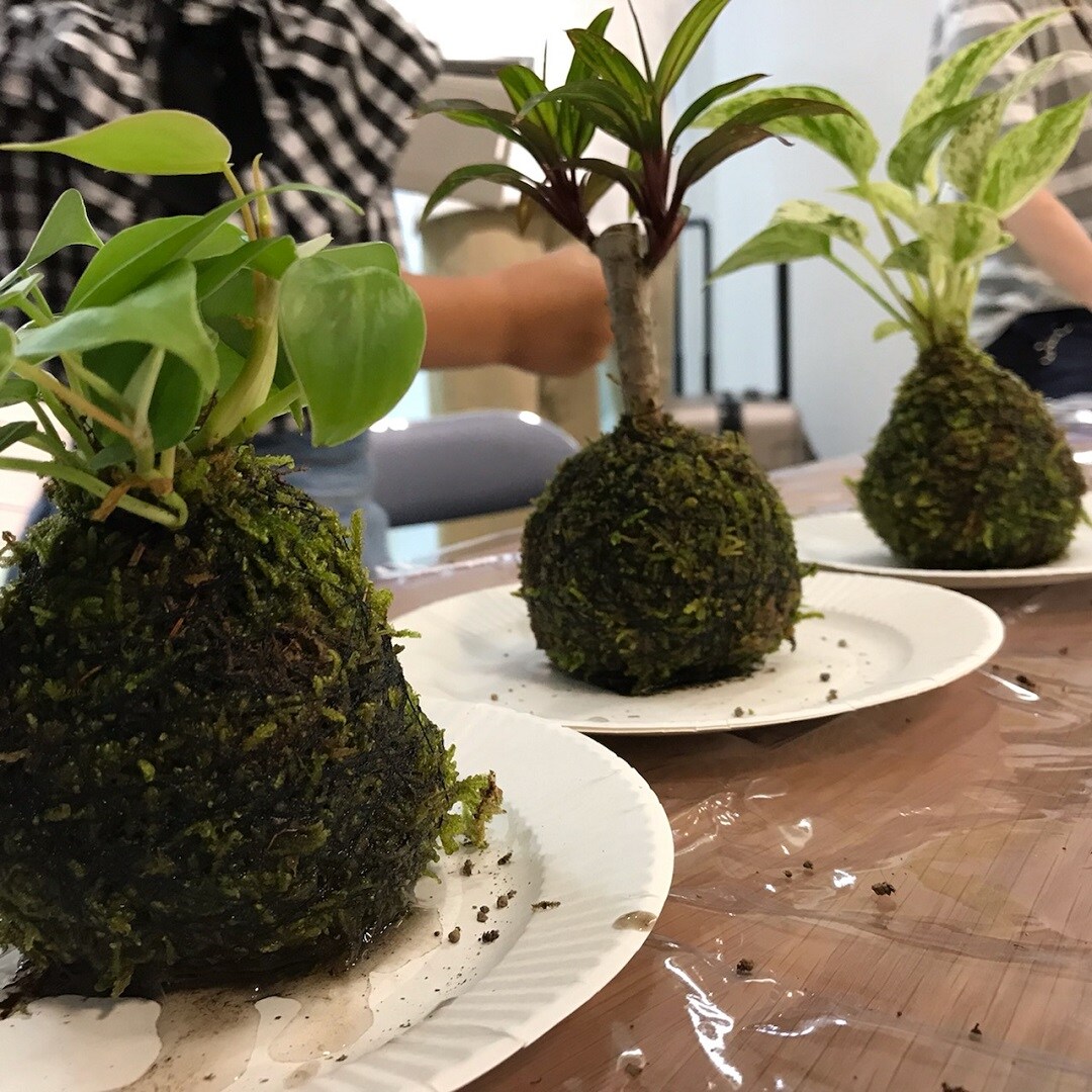 キービジュアル画像：こけ玉を作りました