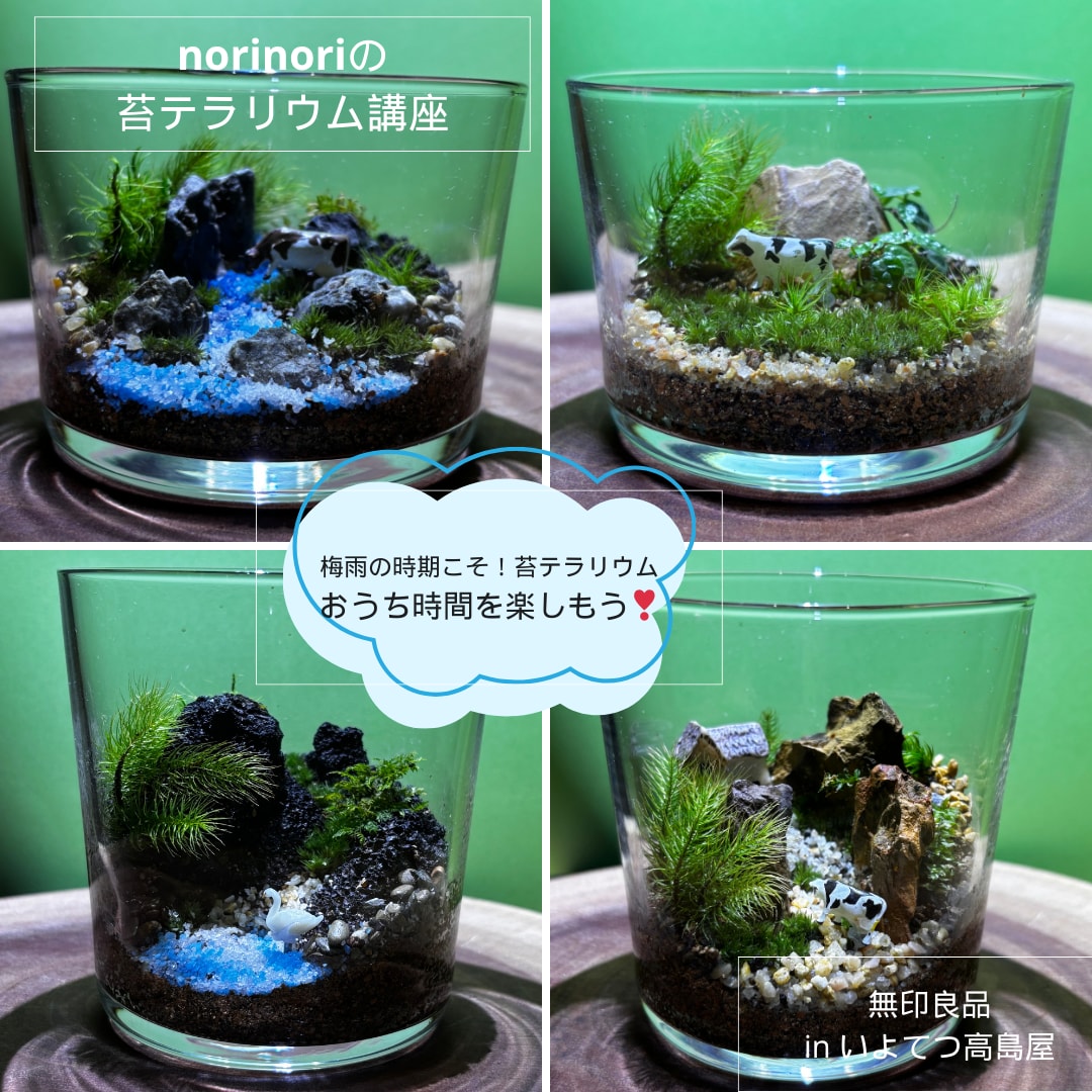 苔テラリウムワークショップ