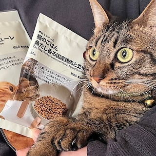 【アクロスプラザ長岡】2月22日は猫の日、にゃんにする？