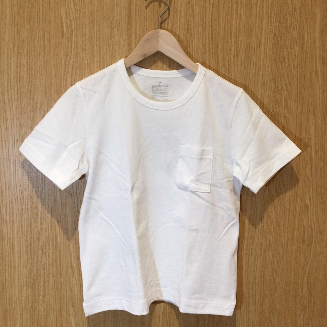 キービジュアル画像：太番手天竺編み Ｔシャツ｜スタッフのおすすめ