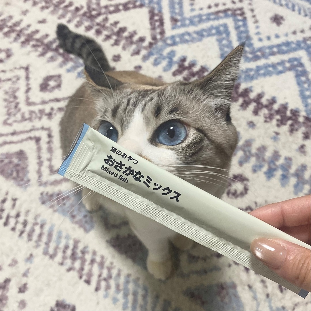 【イオンモール新潟亀田インター】猫の日のプレゼント