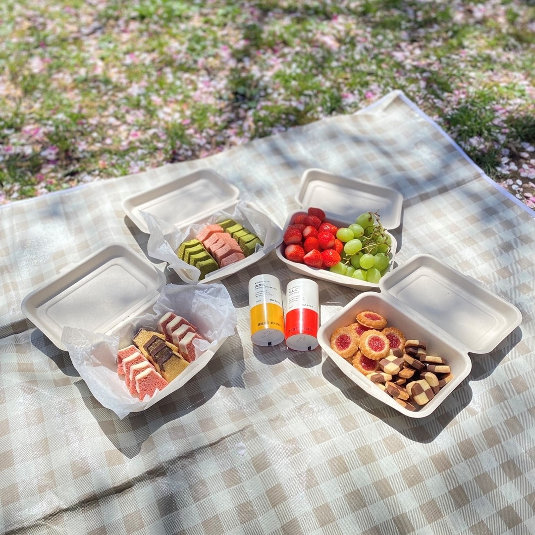 【イオンモール新潟亀田インター】無印良品のアイテムでお花見に行ってきました。 