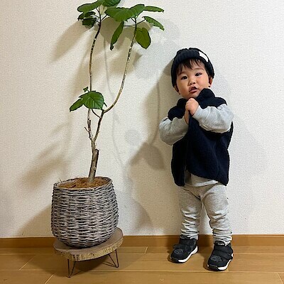 【ゆめタウン徳島】身長85㎝