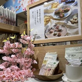 【西原シティ】今年も桜シリーズがやってきました