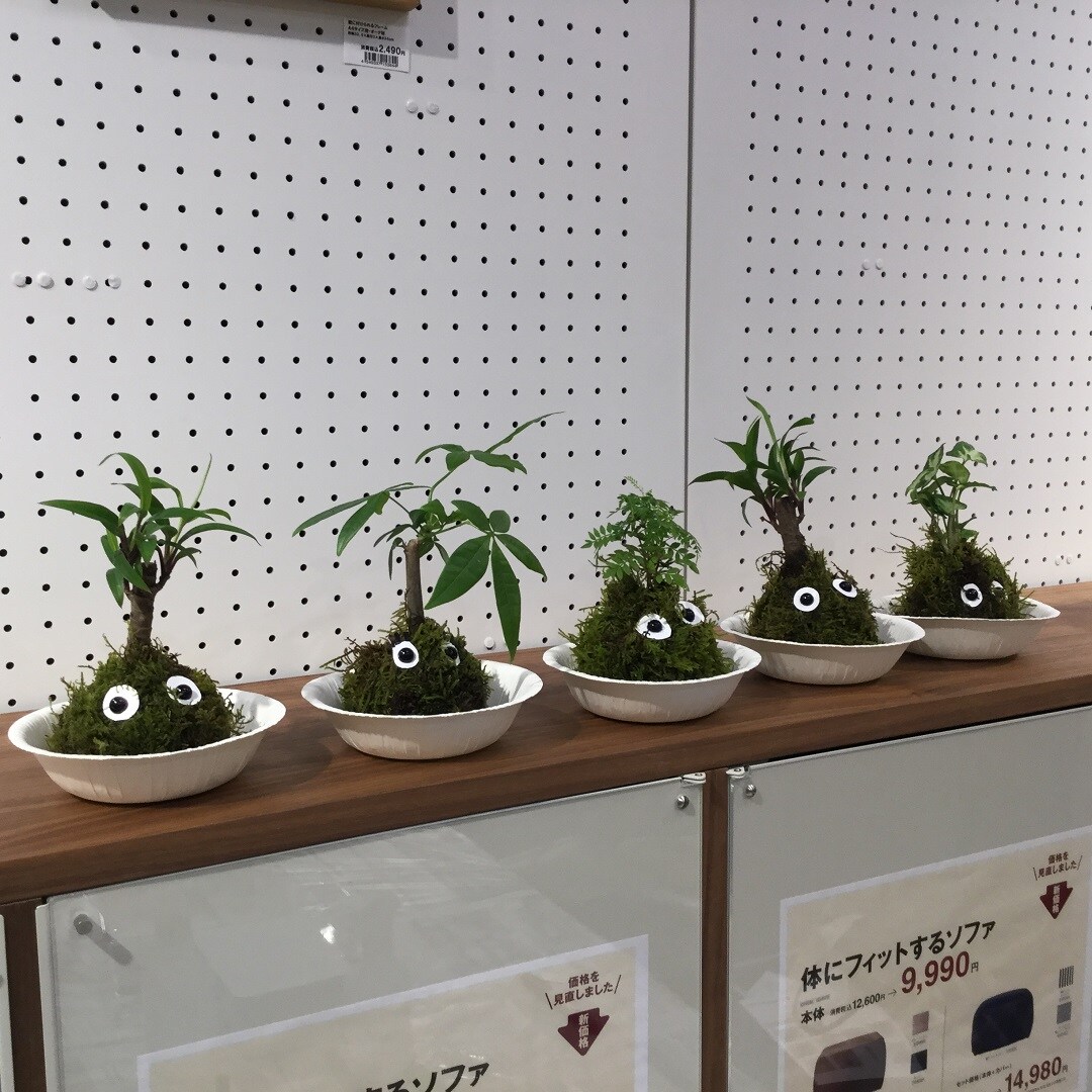 キービジュアル画像：こけ玉をつくろう｜イベントレポート