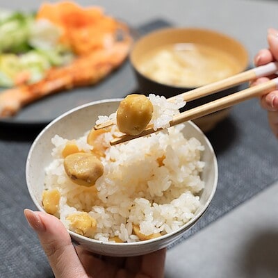 【イオンモール新発田】秋の味覚　炊き込みごはんの素｜栗ごはん