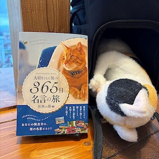 【ゆめタウン三豊】今月の一冊