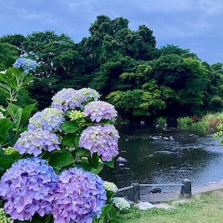 【COCOSA熊本下通】初夏の風物詩