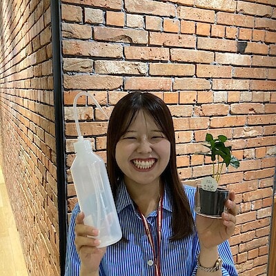 【COCOSA熊本】　小さな観葉植物にぴったり