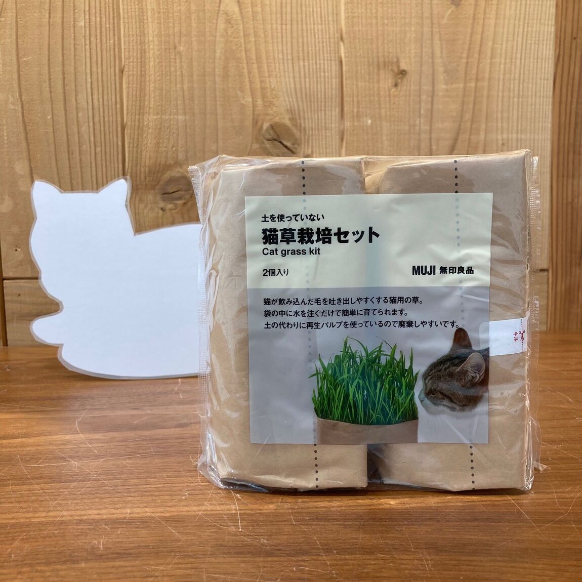 【ＣＯＣＯＳＡ熊本下通】　猫草栽培セットを育ててみました。
