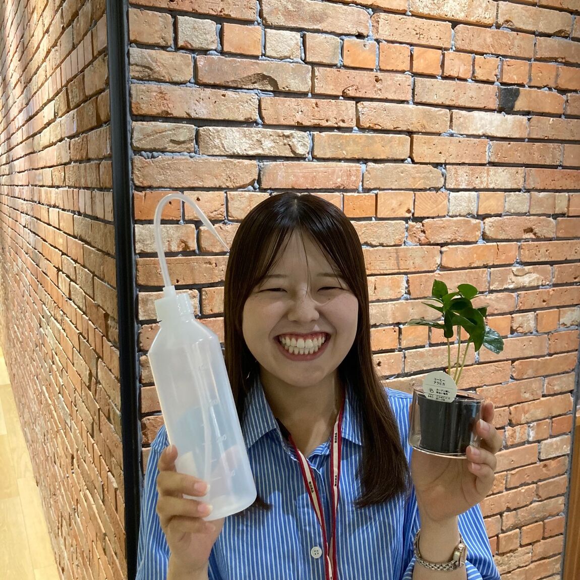 【COCOSA熊本】小さな観葉植物のぴったり