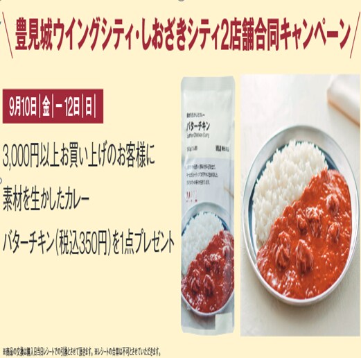 ウィングチラシ