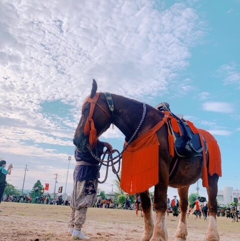 相馬野馬追報告/061767/220723