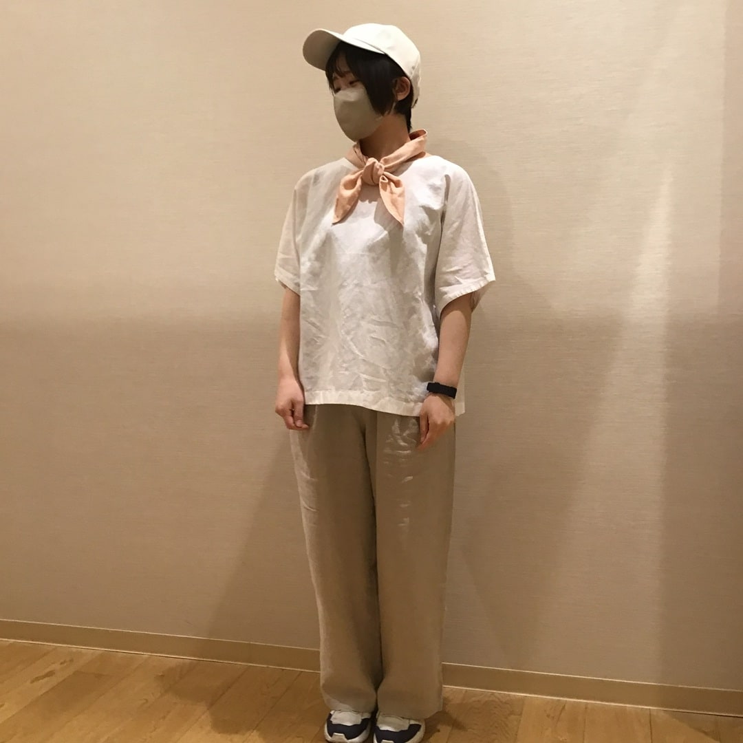 全体の写真