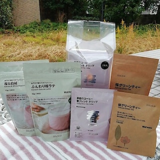 【山口】　桜シリーズのご紹介