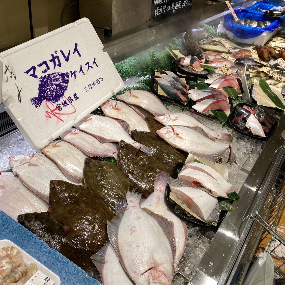 鮮魚