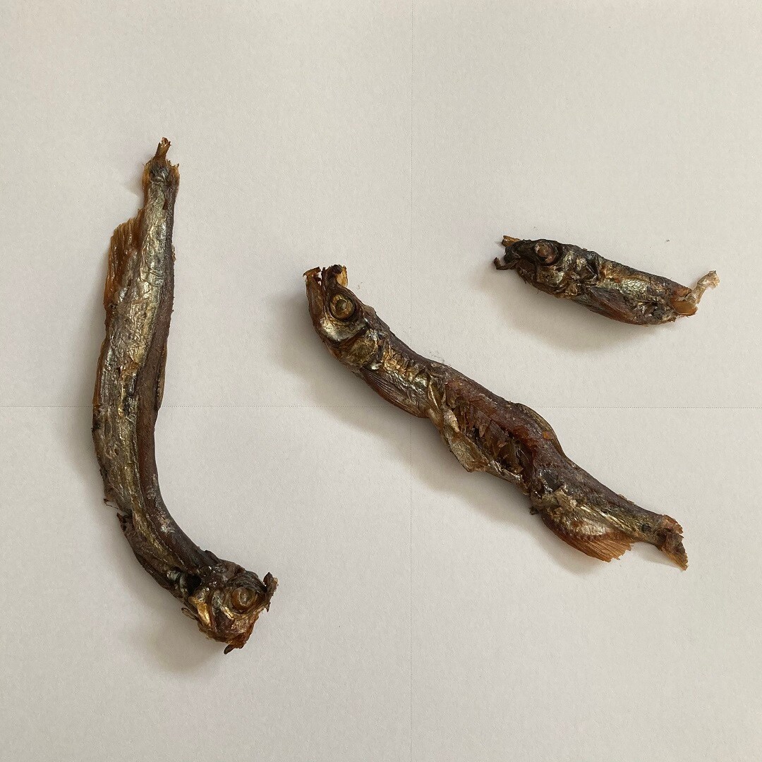 【イオンモール草津】　前略ししゃも好きより