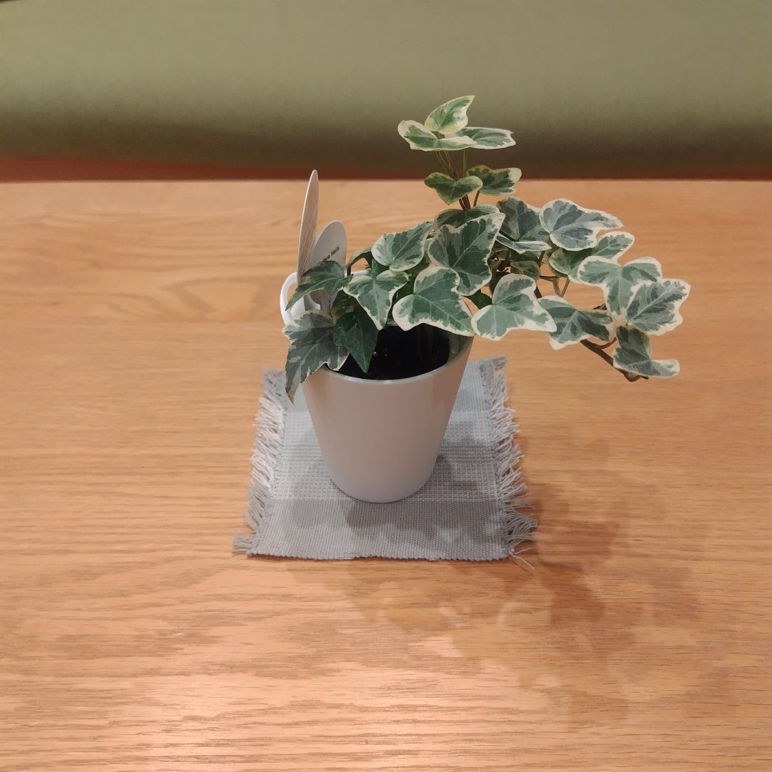 花受け