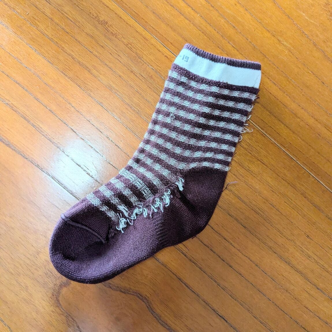 【新庄】お子さまの成長に寄り添う、新しい靴下が登場しました！_7pXVRa