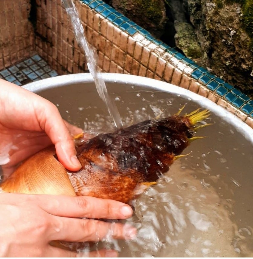 タケノコを 水でよく洗う