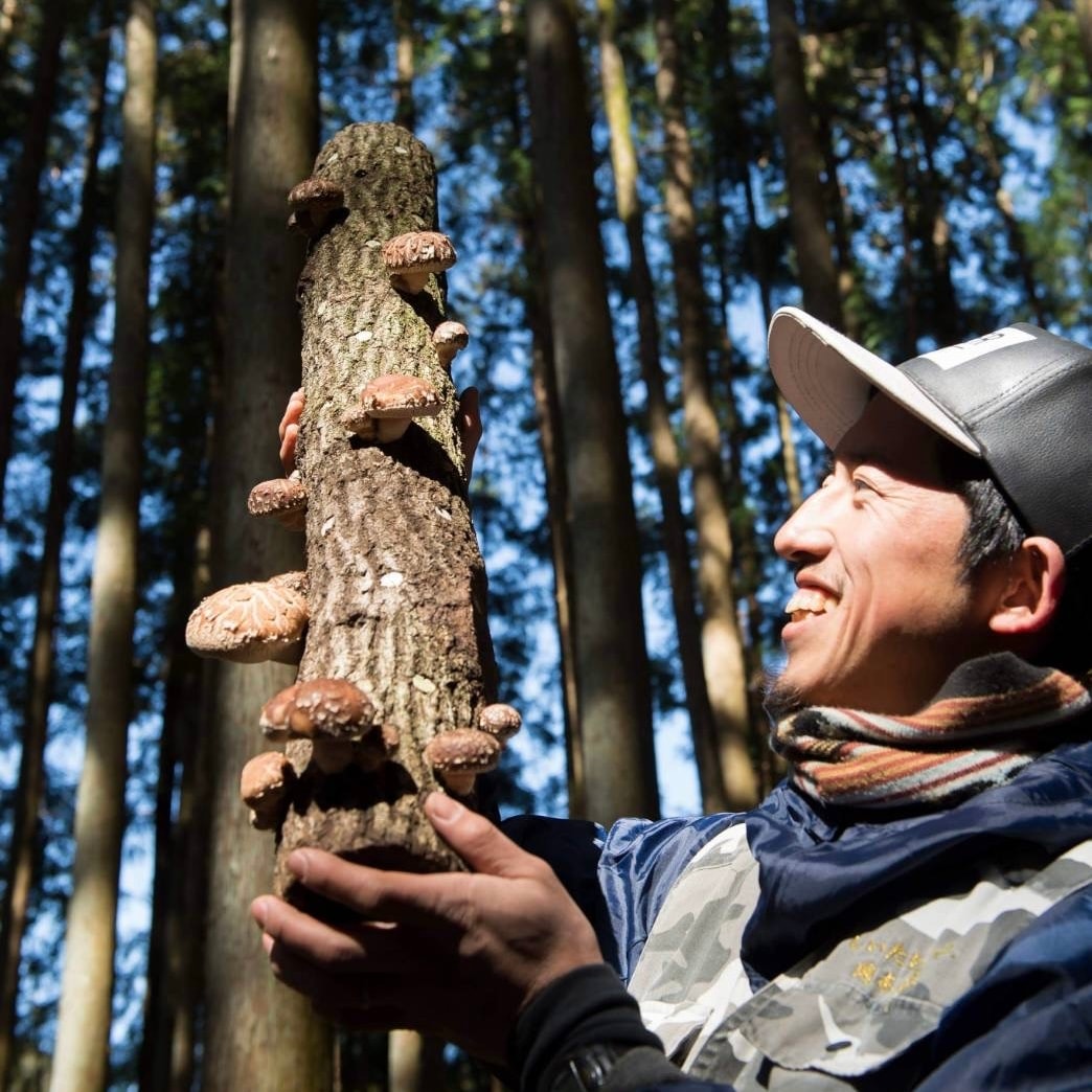 【堺北花田】みんなで学ぼう、きのこの秘密｜食育イベント