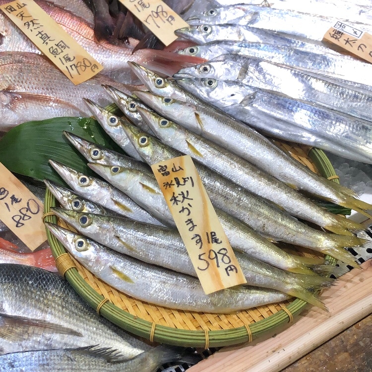 【堺北花田】今日のおすすめは『かます』と『まとうだい』｜鮮魚売場から