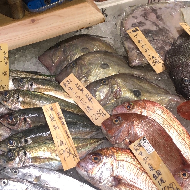 【堺北花田】今日のおすすめは『かます』と『まとうだい』｜鮮魚売場から