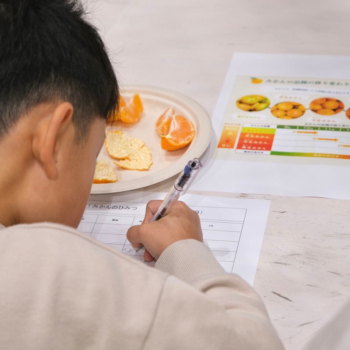 【堺北花田】みんなで学ぼう、みかんの秘密｜イベントレポート