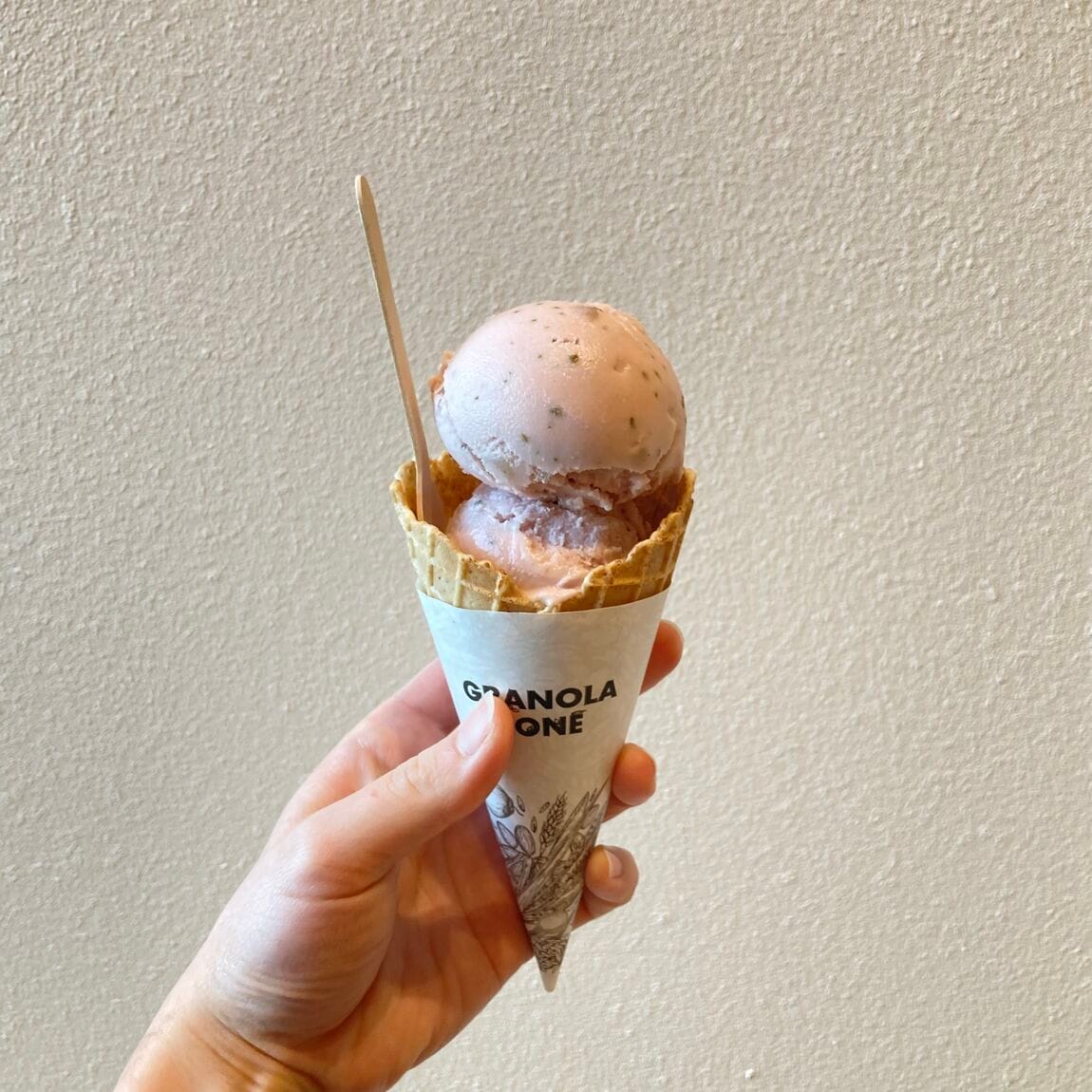 【白山北安田】期間限定のアイスとラテのご紹介