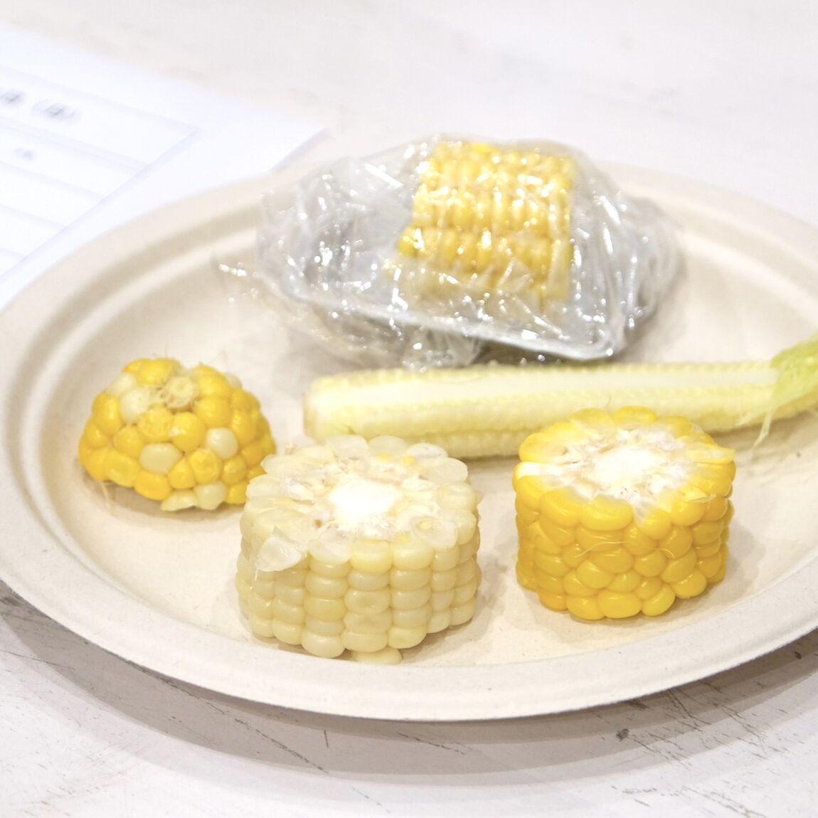 【堺北花田】みんなで学ぼう、とうもろこしの秘密｜イベントレポート