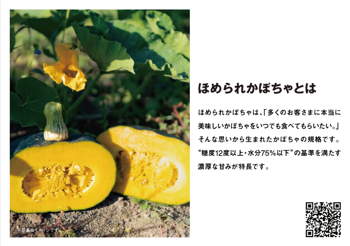 ほめられかぼちゃの説明