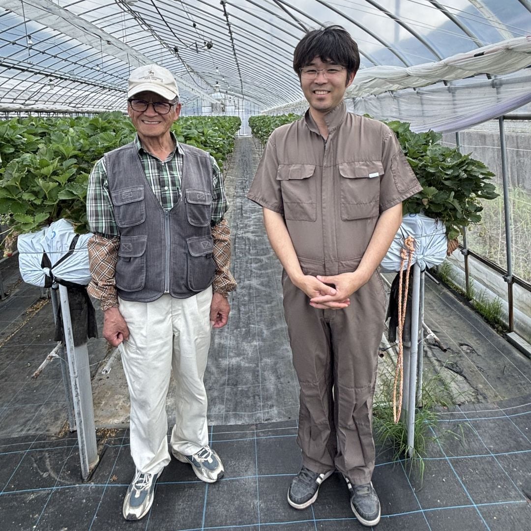 【銀座】苺をお届けします。｜1F 食品　