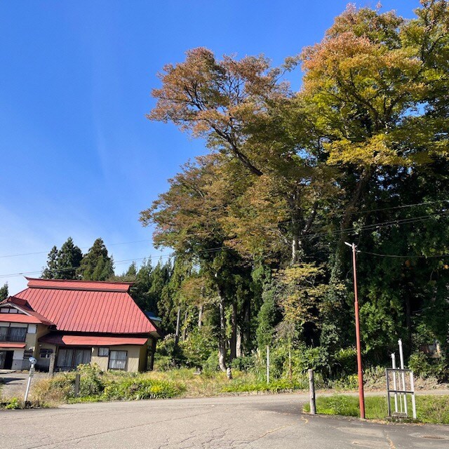 木と民家