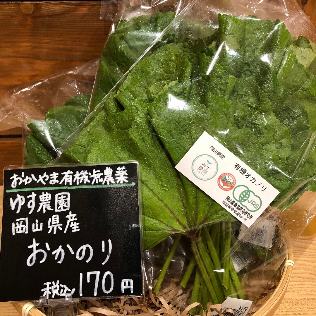 【イオンモール岡山】岡山県産の夏野菜がたくさん入荷しました