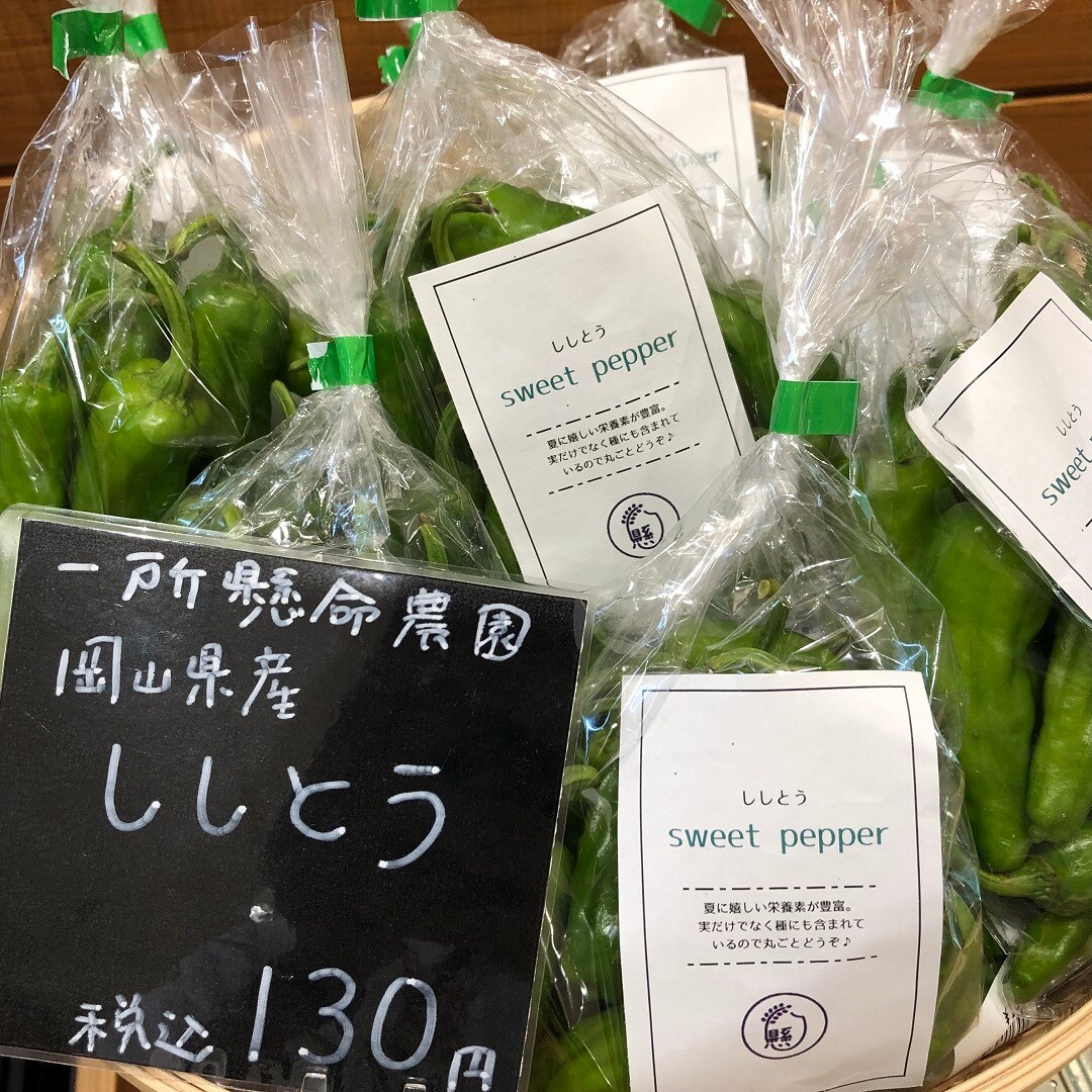 【イオンモール岡山】岡山県産の夏野菜がたくさん入荷しました