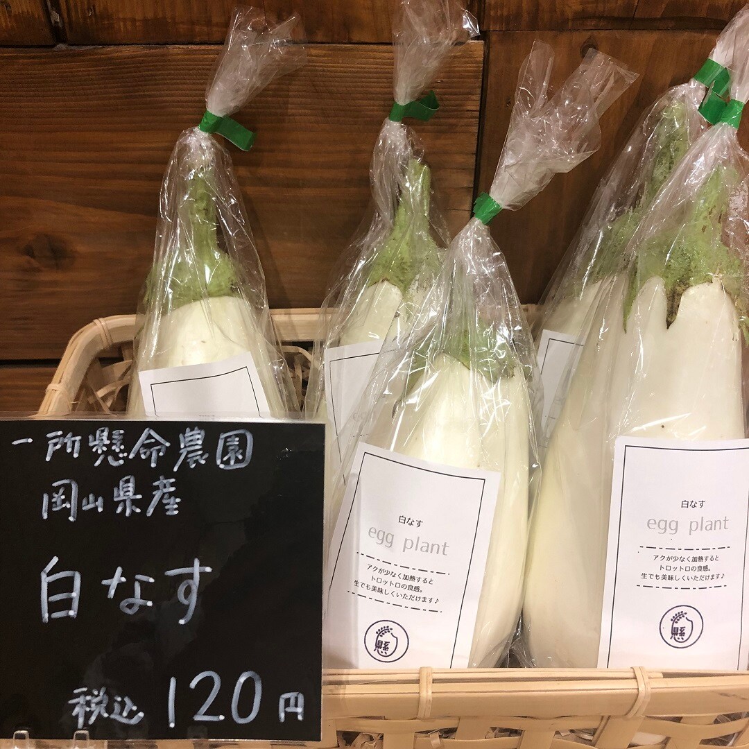 【イオンモール岡山】岡山県産の夏野菜がたくさん入荷しました