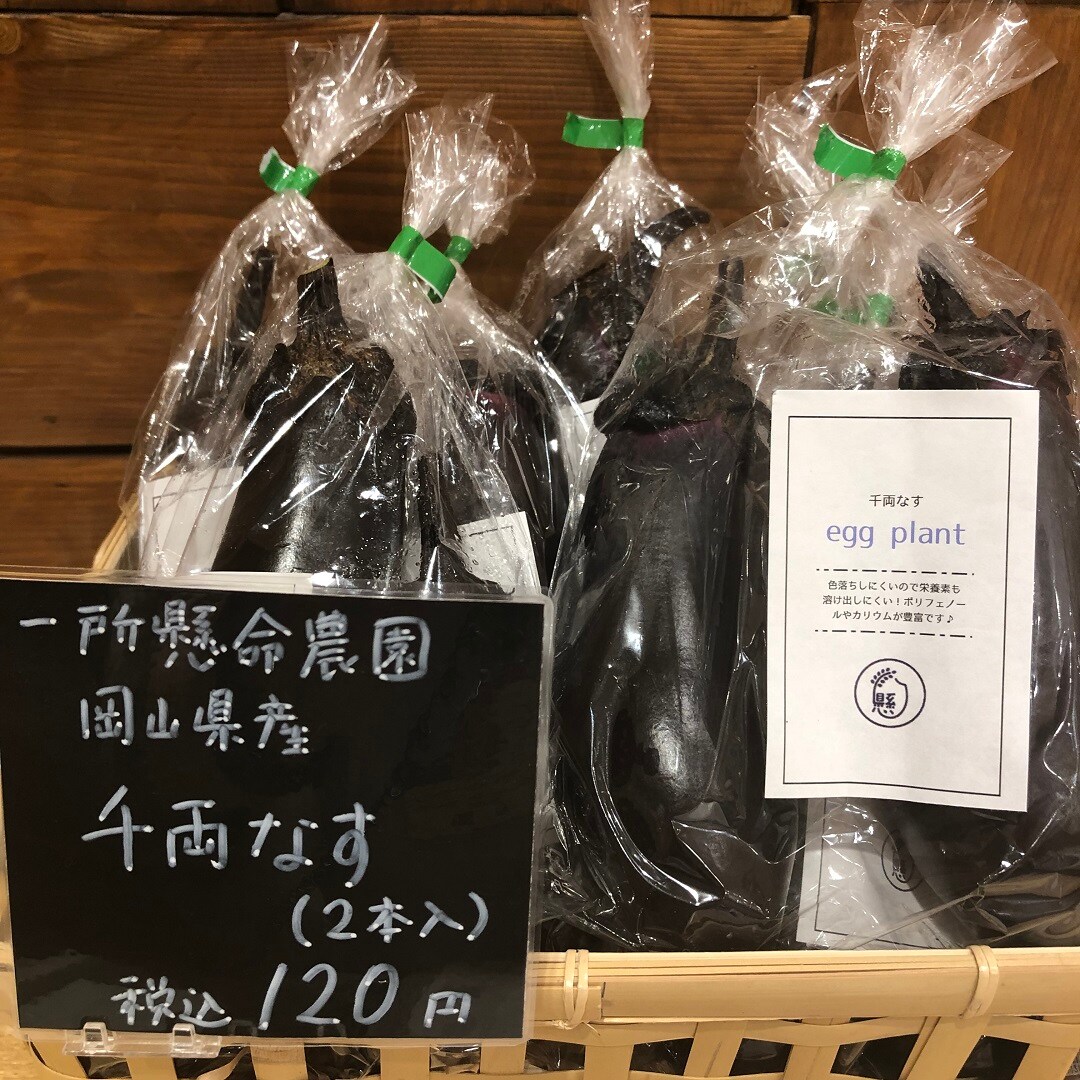 【イオンモール岡山】岡山県産の夏野菜がたくさん入荷しました